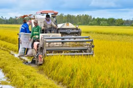 Đưa An Giang thuộc nhóm đầu kinh tế khu vực ĐBSCL vào năm 2025