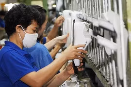 Các doanh nghiệp Việt Nam chưa khai thác triệt để cơ hội từ FTA
