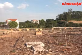 Đền bù GPMB dự án Cụm công nghiệp xã Hương Sơn: Cần xem xét nguyện vọng của người dân