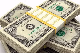 Tỷ giá ngoại tệ hôm nay 6/7: Đồng USD tiếp tục giảm phiên đầu tuần