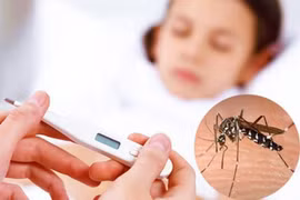 Hà Nội xuất hiện nhiều ổ dịch sốt xuất huyết phức tạp