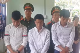 21 tháng tù cho 3 đối tượng "xúc phạm Quốc kỳ"