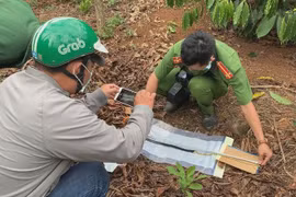 Nghi án người cha đâm chết con gái rồi tự sát trong chòi rẫy