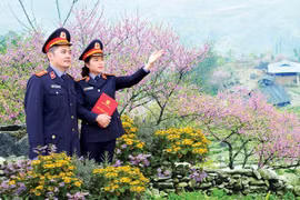 Triển khai Cuộc thi ảnh “Nét đẹp cán bộ, công chức ngành Kiểm sát”