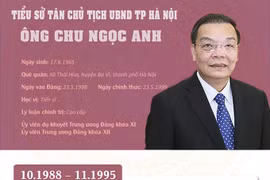 Tiểu sử tân Chủ tịch UBND TP Hà Nội Chu Ngọc Anh