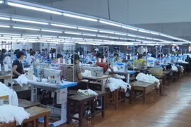 Thanh Hóa: Trong 5 năm, đã có 24.500 doanh nghiệp thành lập mới