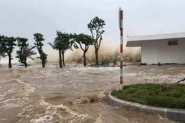 Thanh Hóa: Triển khai một số biện pháp cấp bách chủ động ứng phó với thiên tai