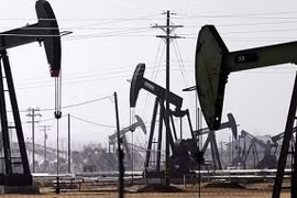 Giá xăng dầu hôm nay 8/7: OPEC+ cắt giảm sản lượng, giá dầu tiếp tục tăng cao