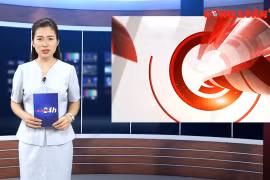 Bản tin Công luận 24h: 63 ca dương tính với bệnh bạch hầu, Bộ Y tế họp khẩn