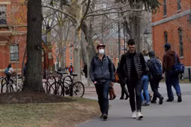 Đại học Havard và MIT kiện chính quyền Trump về quy định cấm sinh viên quốc tế