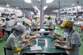 Nâng cao năng lực cho doanh nghiệp xuất khẩu Việt Nam