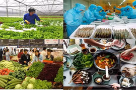 An toàn thực phẩm - Từ trang trại đến bàn ăn