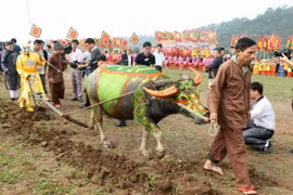 Đầu năm đi lễ hội Tịch điền ở Đọi Sơn