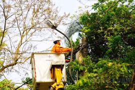 Thừa Thiên Huế: Đảm bảo cung ứng điện ổn định cho các khu kinh tế, công nghiệp