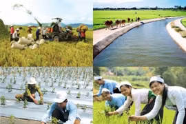 Xây dựng Bộ tiêu chí quốc gia về nông thôn mới phù hợp điều kiện thực tế từng vùng, miền