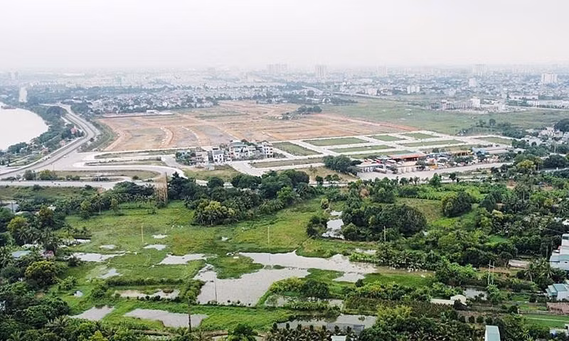 minhhoa.jpg