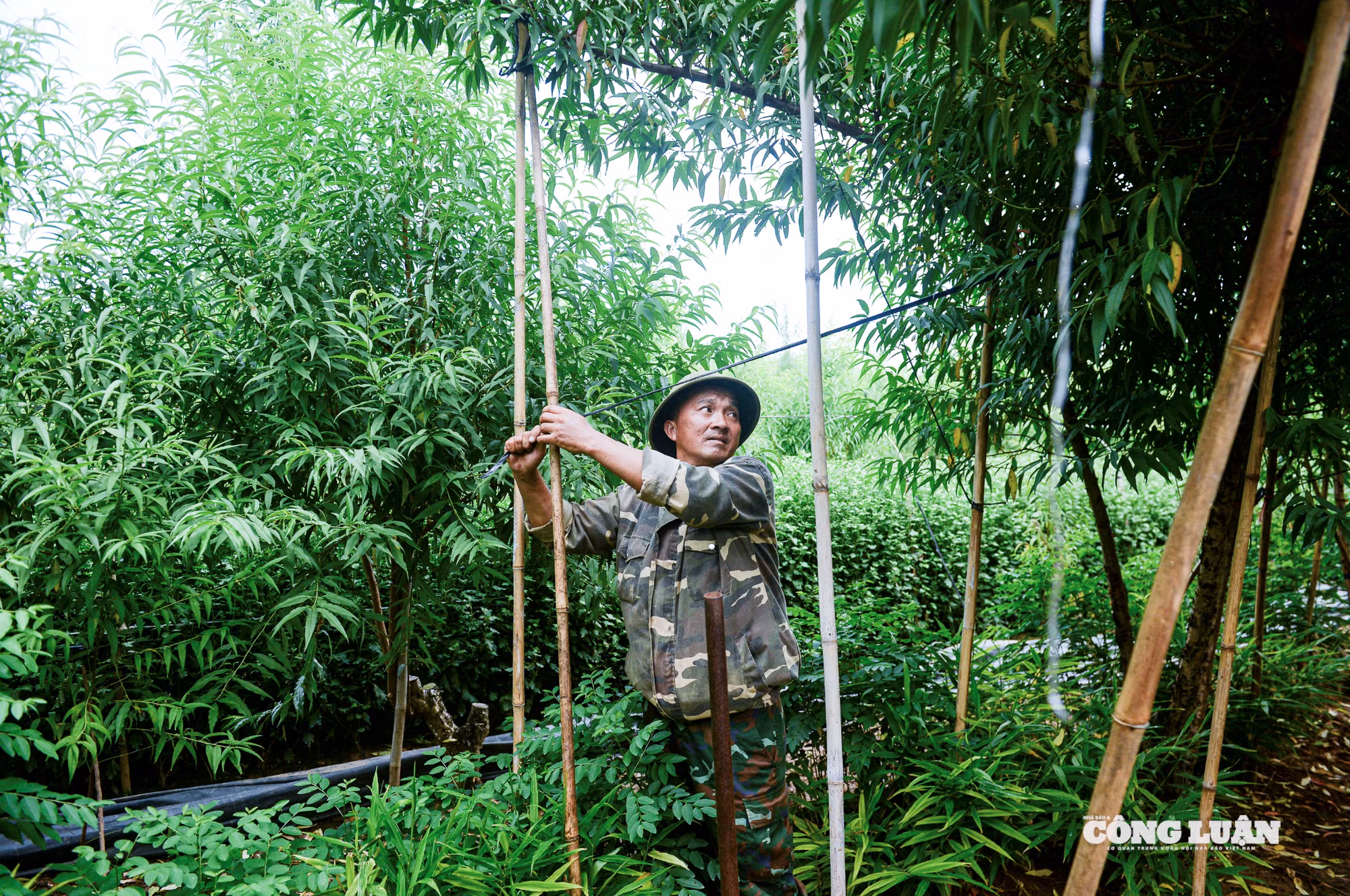 Ảnh màn hình 2025-09-26 lúc 06.06.18