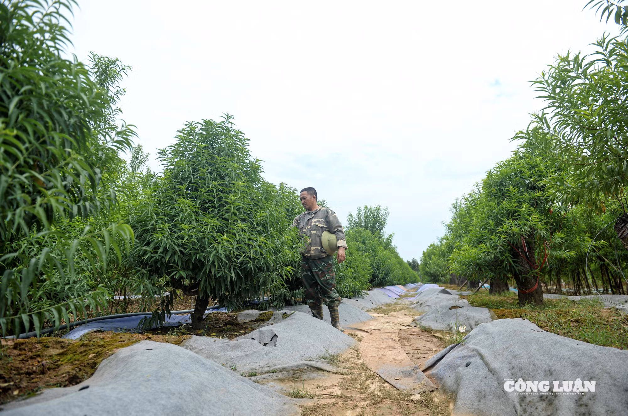 Ảnh màn hình 2025-09-26 lúc 06.07.32