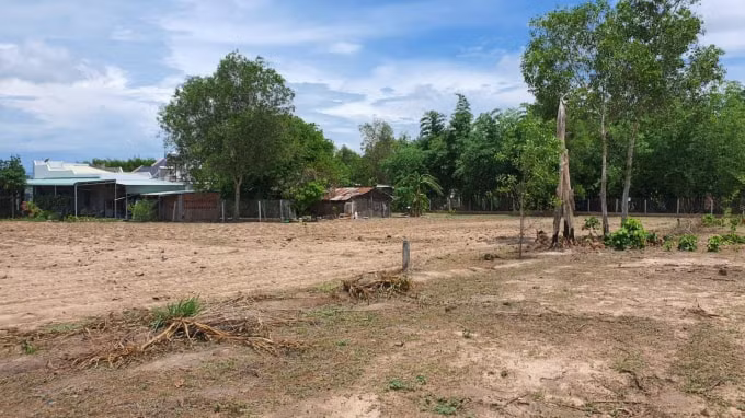 Cần Giờ là huyện có giá đất tăng 