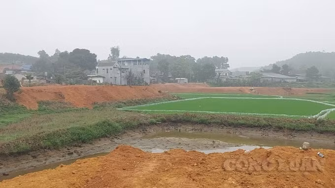 Nhiều diện tích đất nông nghiệp đã bị người dân lấp trái phép tại xã Hà Lương.