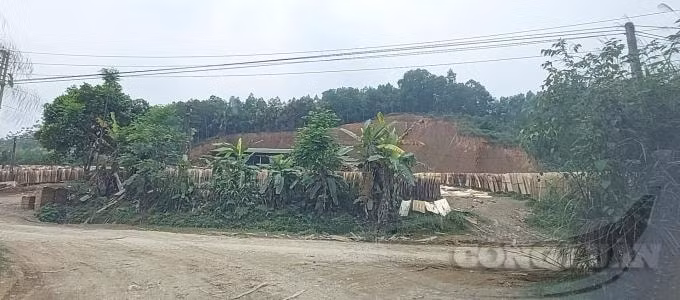Nhiều quả đồi đã bị 