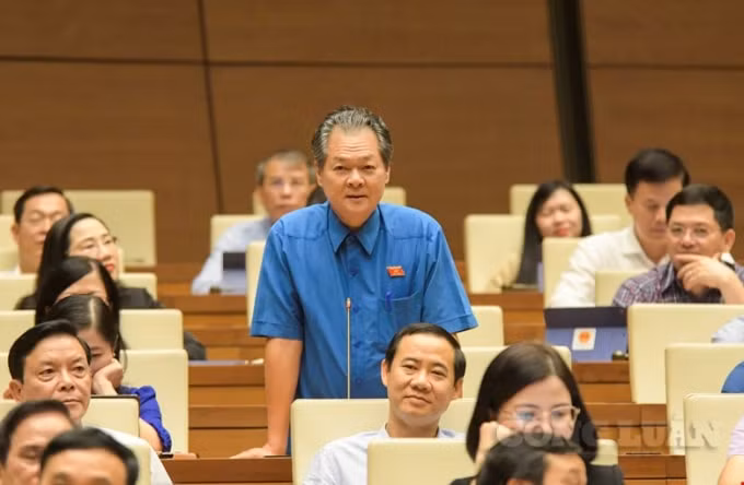 Đại biểu Trương Minh Hoàng (đoàn ĐBQH tỉnh Cà Mau).