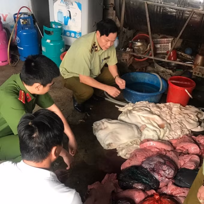 Lực lượng chức năng bắt giữ 220 kg nội tạng trâu, bò đã bắt đầu bốc mùi hôi thối.