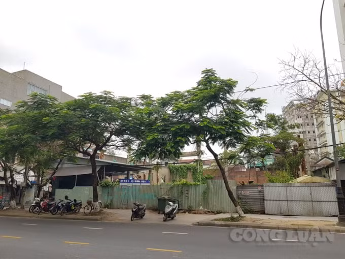 Khu nhà đất 73 Nguyễn Huệ (phường Vĩnh Ninh, TP Huế) bị bỏ hoang nhiêu năm nay.