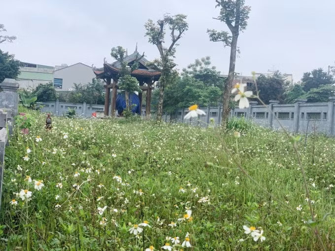 Tuyến đường để vào Văn Miếu dài khoảng 1km chưa có