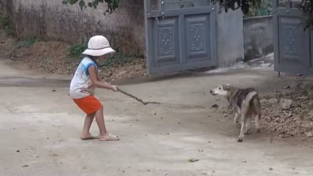 Trẻ nhỏ luôn là đối tượng bị chó tấn công (Ảnh minh họa)