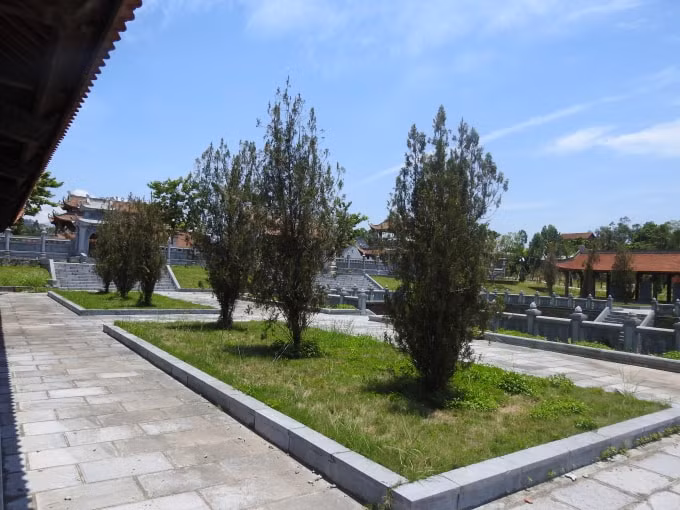 Nhiều cây xanh đã có hiện tượng héo lá, còi cọc - ảnh Hà Long