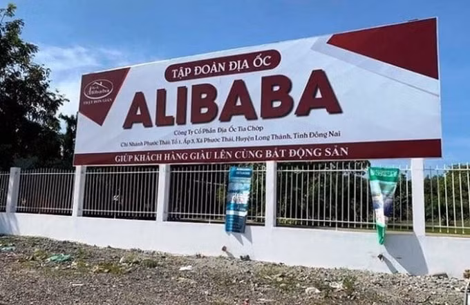 Phó Thủ tướng Thường trực Trương Hòa Bình yêu cầu cơ quan chức năng kiểm tra, làm rõ thông tin phản ánh về địa ốc Alibaba, báo cáo Thủ tướng Chính phủ kết quả thực hiện trong tháng 9 năm 2019.