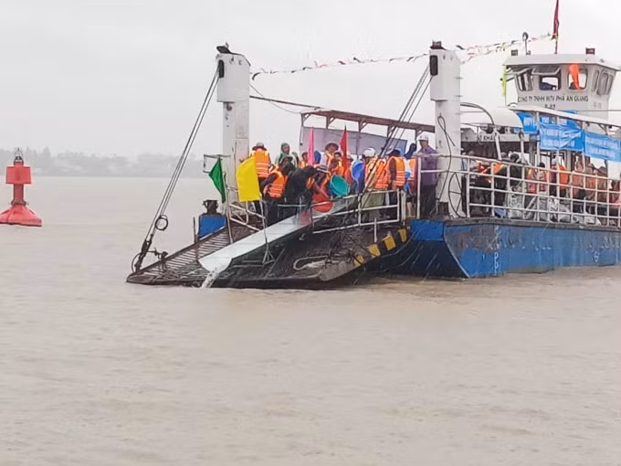 Các đại biểu thực hiện thả cá về thiên nhiên.