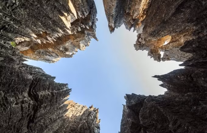 bian6.1