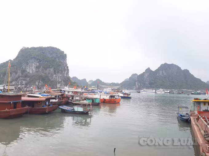 Du lịch, dịch vụ Quảng Ninh 7 tháng đầu năm tăng vượt bậc.