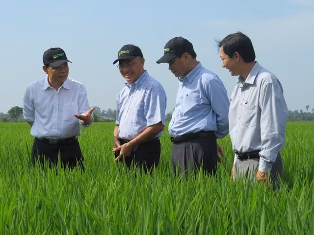 Đồng Tháp nỗ lực cung cấp kiến thức, hỗ trợ nông dân thay đổi tư duy trong sản xuất nông nghiệp.