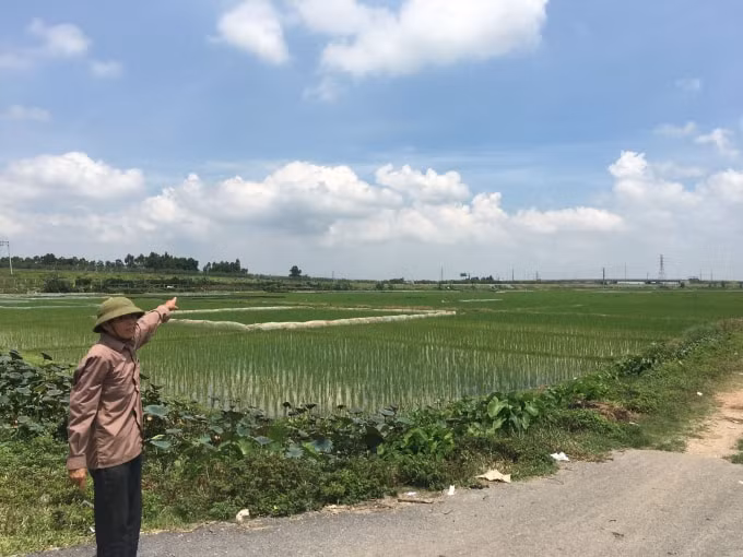 Khu vực đất nông nghiệp nằm dọc tuyến tỉnh lộ 286 của người dân xã Yên Phụ nằm trong diện thu hồi để làm khu đô thị.