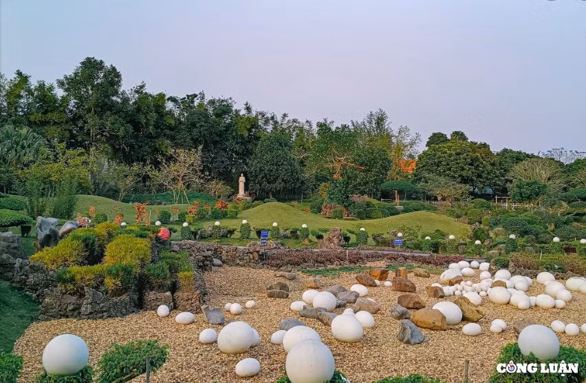 ve dep nhu thanh duong chau au cua dan vien chau son ninh binh hinh 2