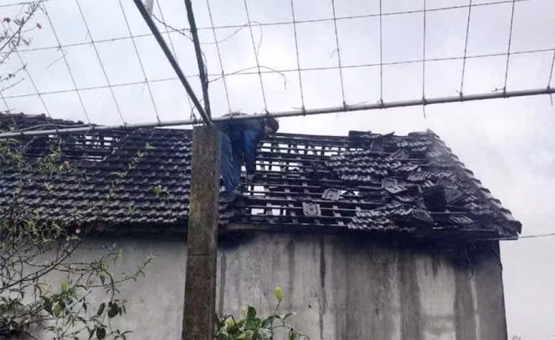 mau thuan tinh cam dam 2 me con nguoi yeu cu trong thuong roi phong hoa dot nha hinh 1