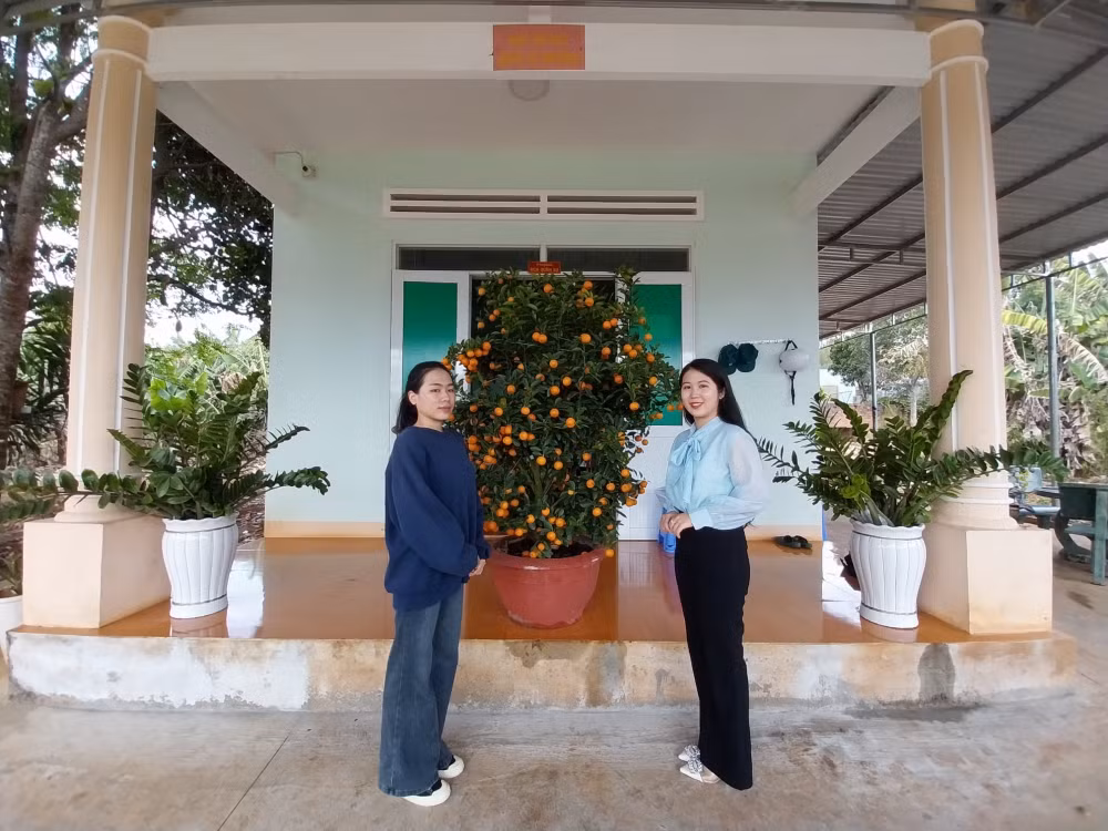 nhung bong hong o gia lai xung phong len duong nhap ngu gay sot hinh 2