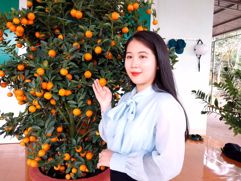 nhung bong hong o gia lai xung phong len duong nhap ngu gay sot hinh 3