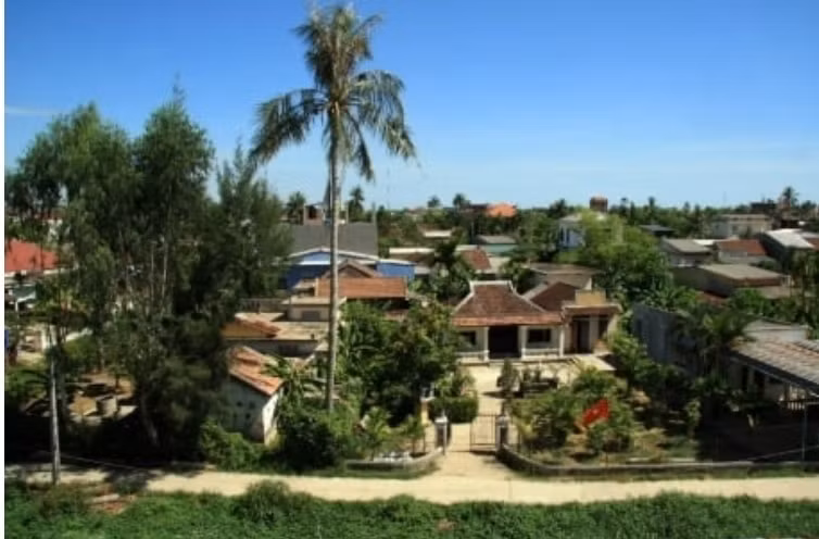 le hoi vang em hinh 4