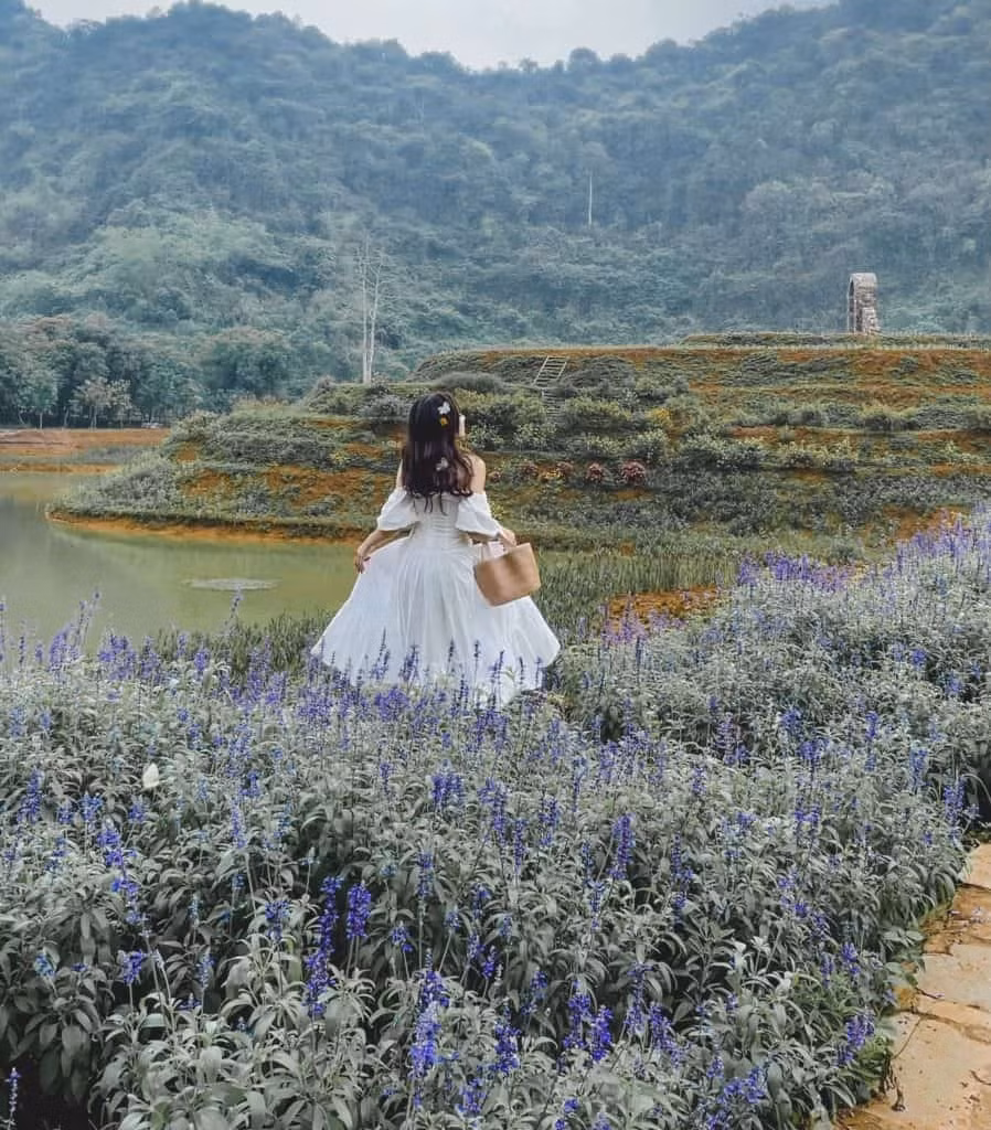 lac vao vuon dia dang tran gian tai noi dat lanh chim dau thung nham hinh 6
