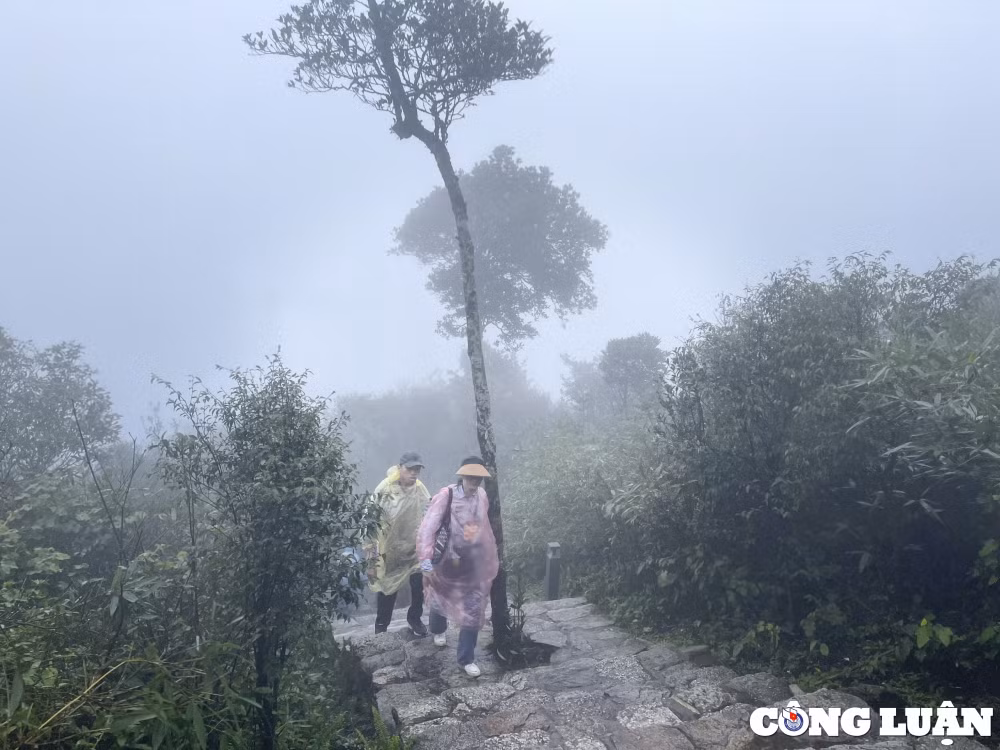 du khach doi mua chinh phuc chua thuong o tay yen tu hinh 19