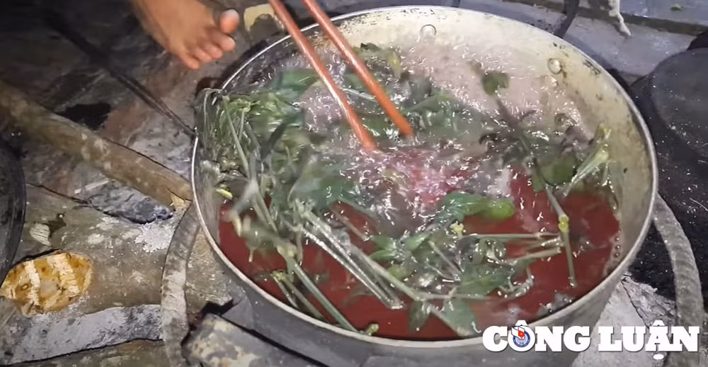 xoi tim lai chau huong vi vung cao niu giu buoc chan du khach hinh 3