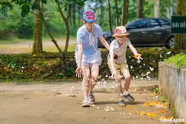 Ghé Vườn quốc gia Cúc Phương ngắm rừng bươm bướm rợp trời
