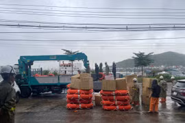 Hỗ trợ địa phương bảo đảm an toàn giao thông hàng hải, đường thủy