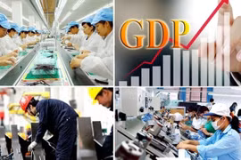 Kịp thời cảnh báo các doanh nghiệp có dấu hiệu mất an toàn tài chính