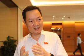 Tăng cường giám sát và phải làm rõ ràng trách nhiệm trong các vụ ‘hàng giả’