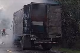 Xe tải bốc cháy khi đang chạy trên đường Hồ Chí Minh